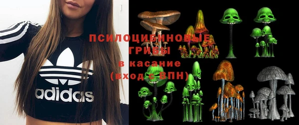 кокс Алексеевка